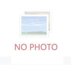 2030年我國工程機械行業會面臨哪些機遇和挑戰？